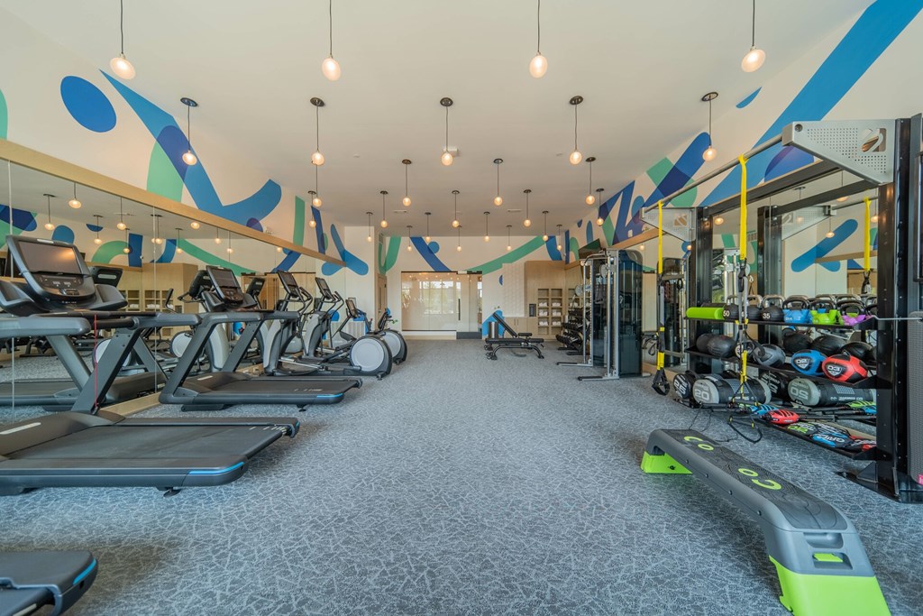 University Hill Apartments