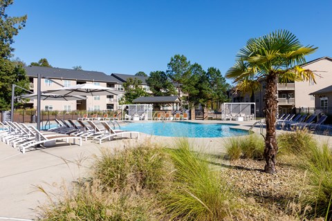A palm tree stands next to a pool in front of a building.