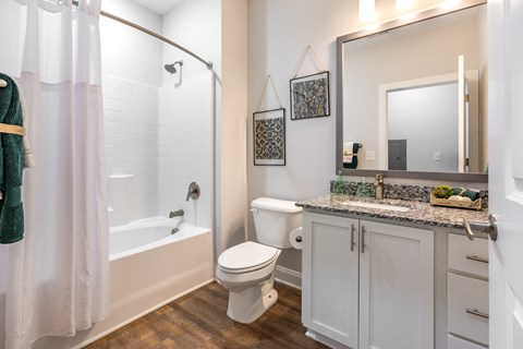 a bathroom with a shower toilet and sink and a mirror