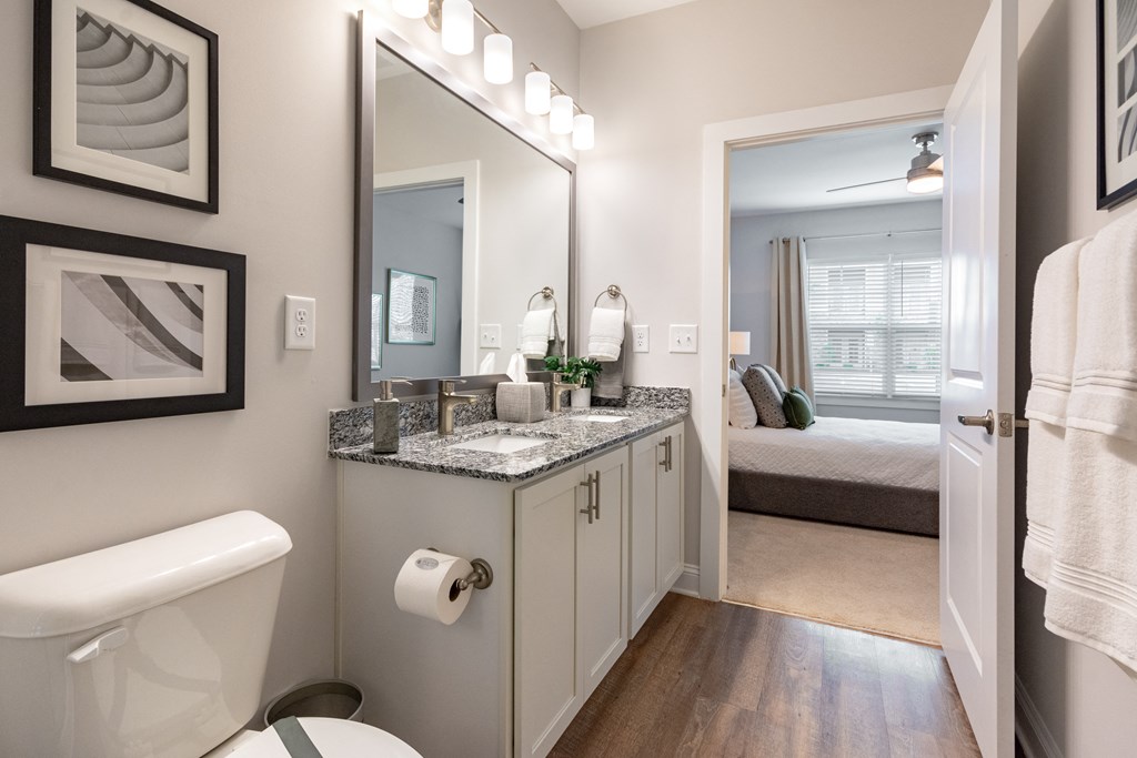 a bathroom with a mirror and a toilet and a sink