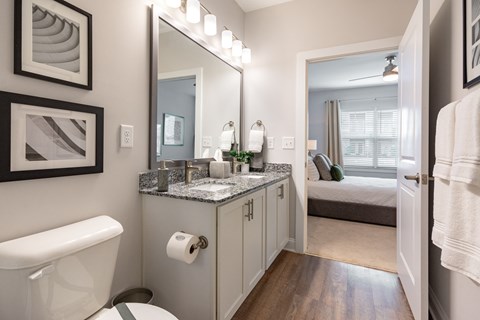 a bathroom with a mirror and a toilet and a sink