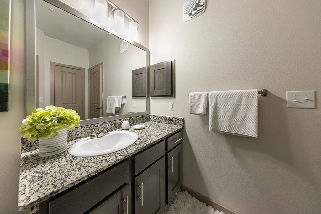 a bathroom with a sink and a mirror