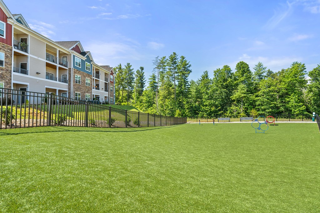 pet park with agility equipment