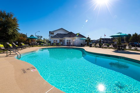 our apartments have a large swimming pool with chairs and umbrellas