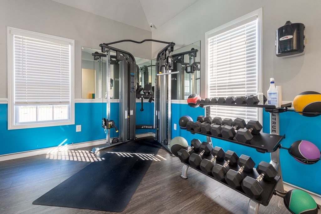 the gym with weights and mirrors at the flats
