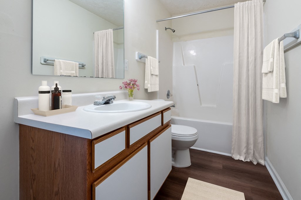 a bathroom with a sink and a toilet and a shower