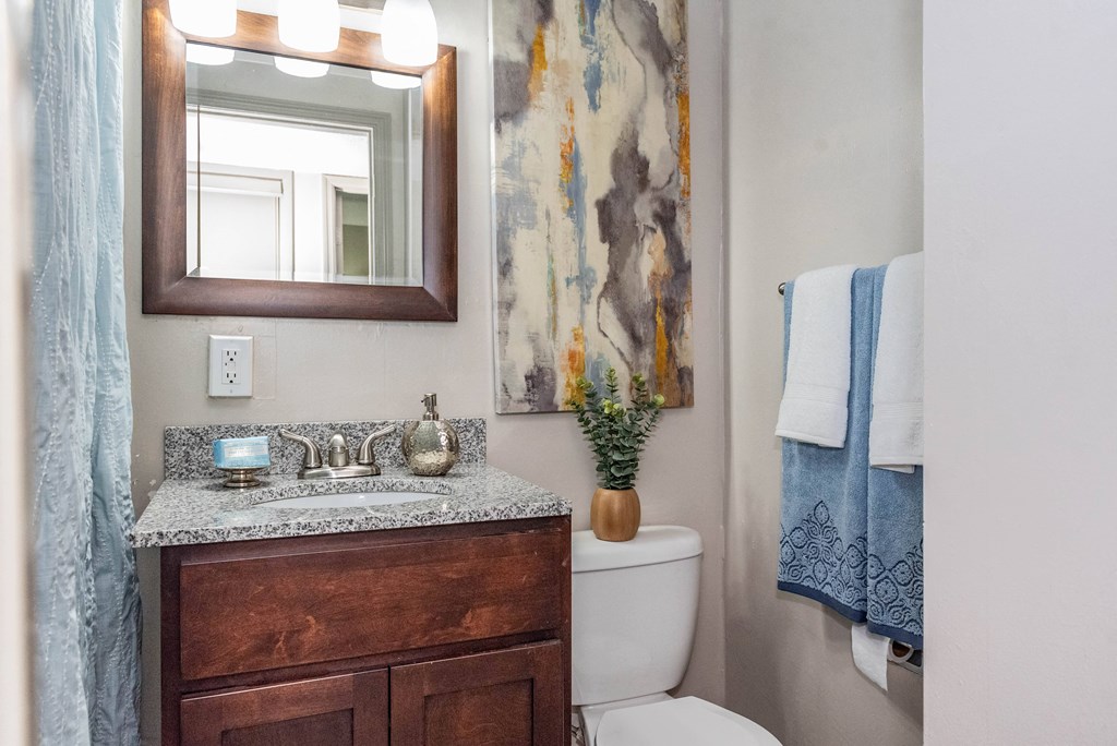 a bathroom with a toilet and a sink and a mirror
