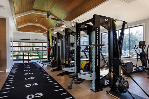 A gym with a row of squat racks and a black mat with numbers on it.
