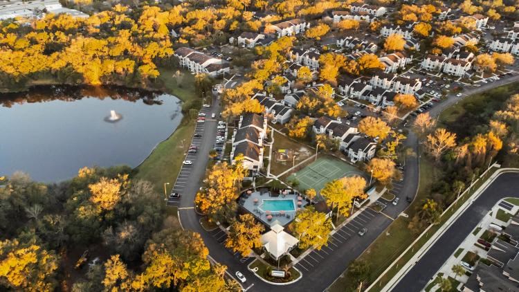 an aerial view of a city with trees and a lake