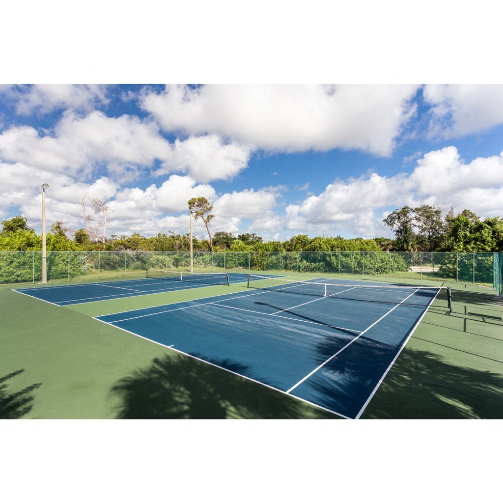 two tennis courts with trees in the background on a sunny day