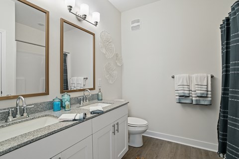 a bathroom with a sink and a toilet and a mirror