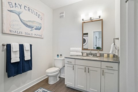 a bathroom with a sink and a toilet and a mirror