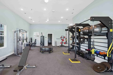 a gym with a lot of weights and equipment in it
