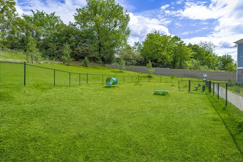 A green field with a fence and a small building in the background.