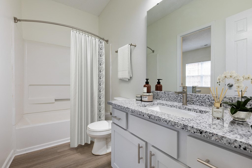 Bathroom within bedroom