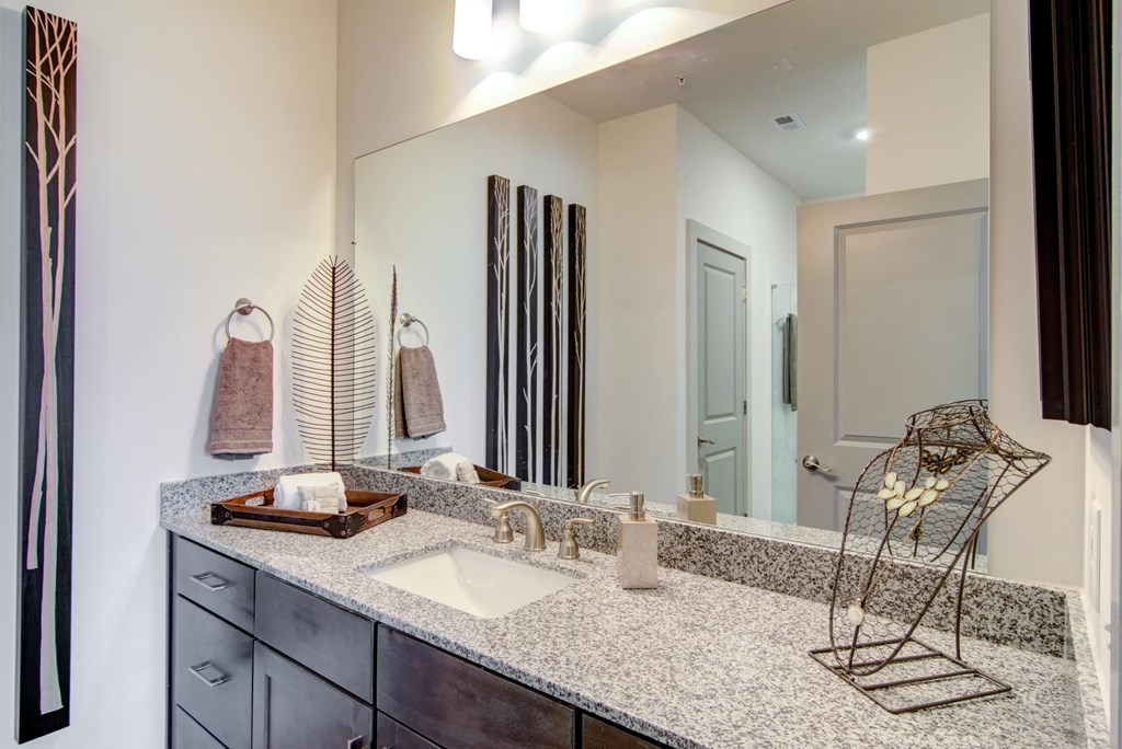 Vestavia Reserve Apartment space enhancing shower curtain rod and large vanity sink