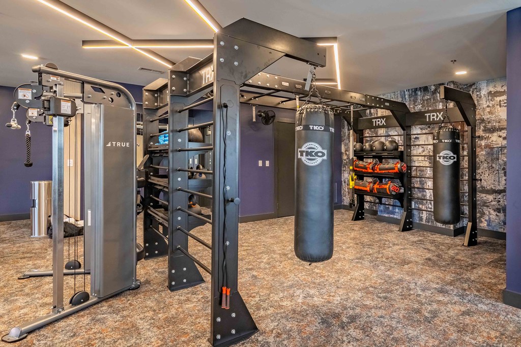 a gym with punching bags and other equipment in a home gym