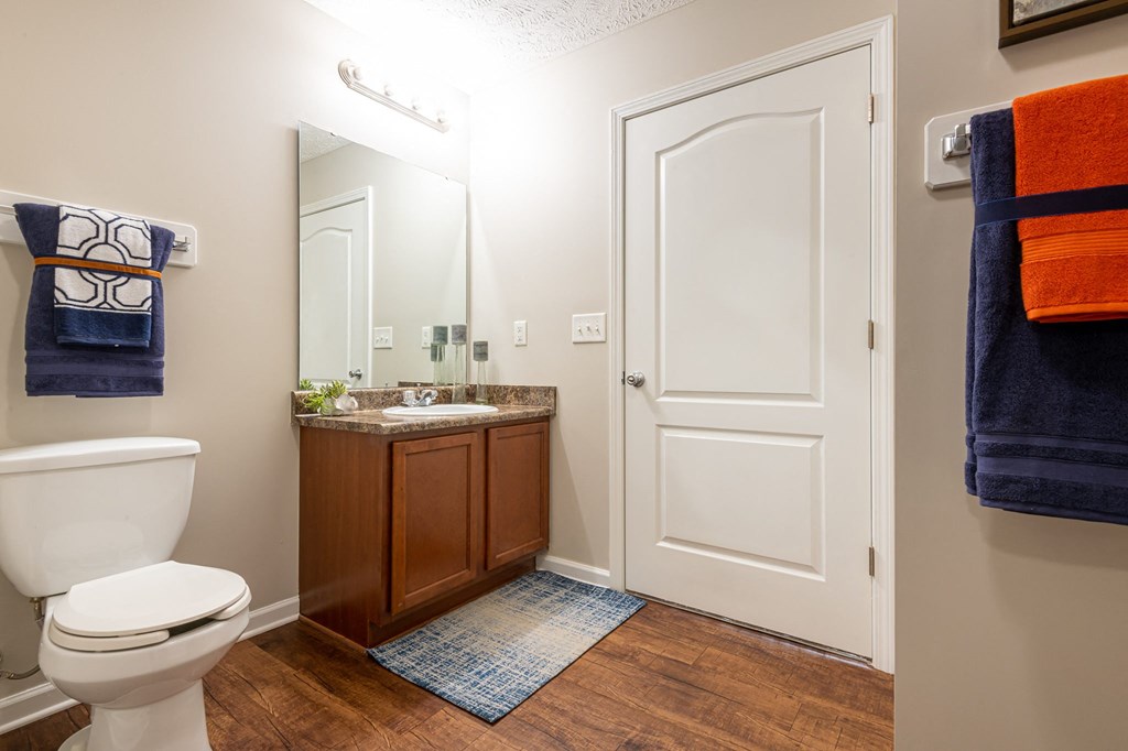 a bathroom with a toilet and a sink and a mirror