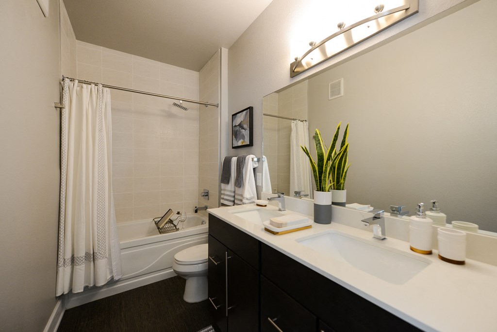 a bathroom with a sink and a shower and a mirror