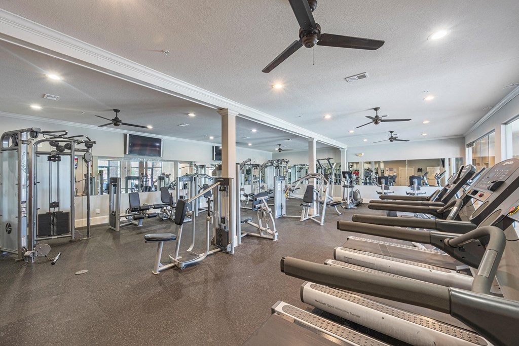 the gym is equipped with cardio equipment and weights