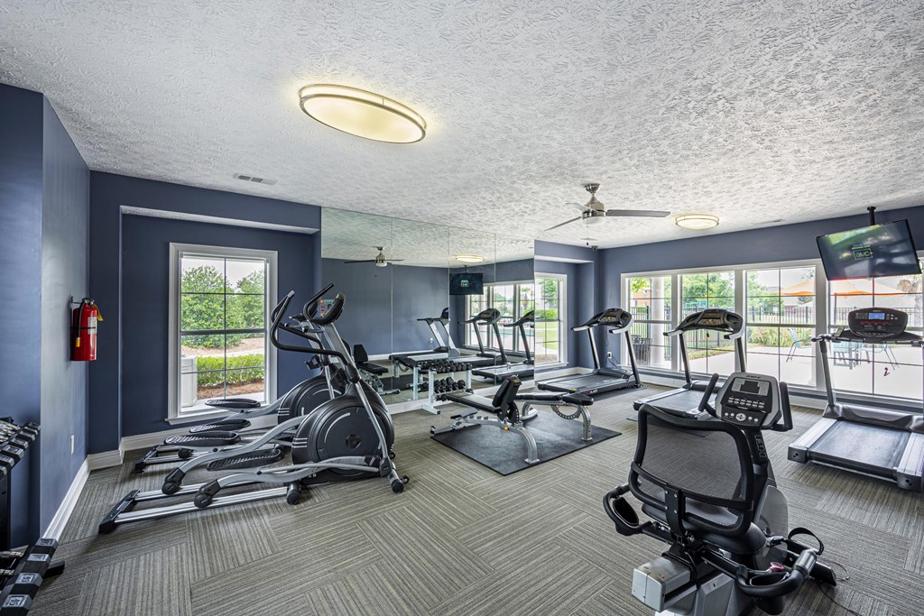 our gym is equipped with a variety of exercise equipment and windows