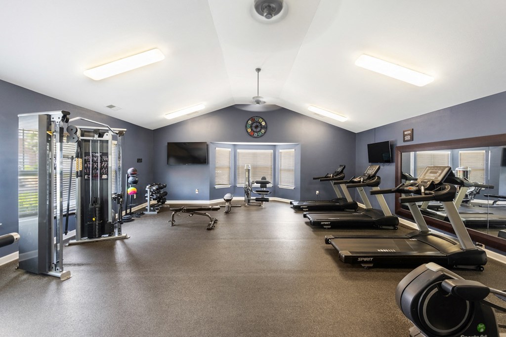the gym has plenty of cardio equipment and weights