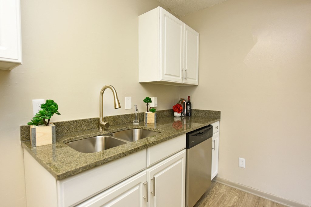 a kitchen with a sink and a dishwasher