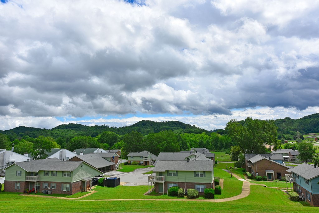 a view of a neighborhood with houses and mountains in the background