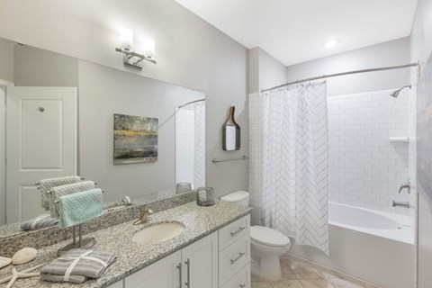 a bathroom with a sink and a shower and a toilet