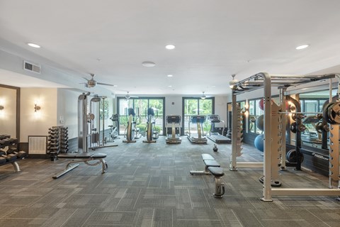 the gym at the preserve at green river