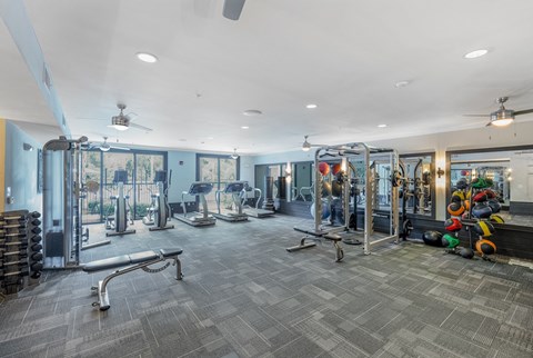 a gym with weights and cardio equipment at the preserve at greatstone