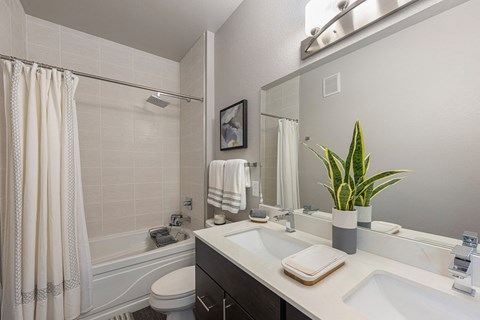a bathroom with a sink and a mirror and a shower