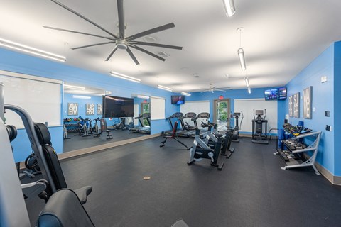 a gym with cardio machines and weights and a tv