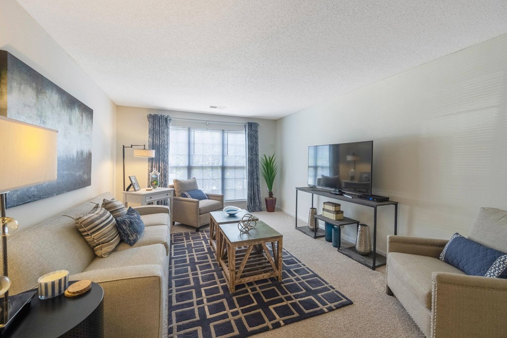 our apartments have a living room with a couch and a tv