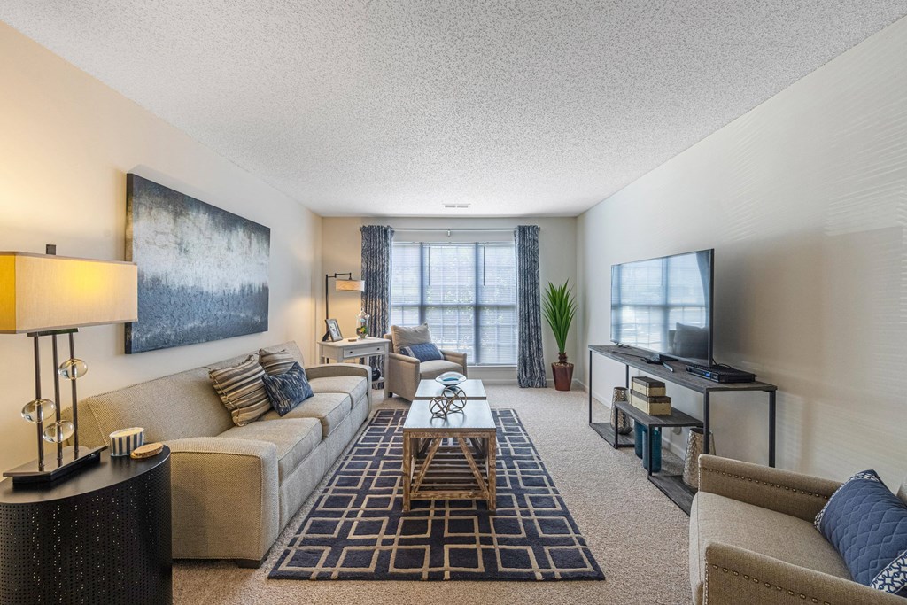 a living room with a couch and a television