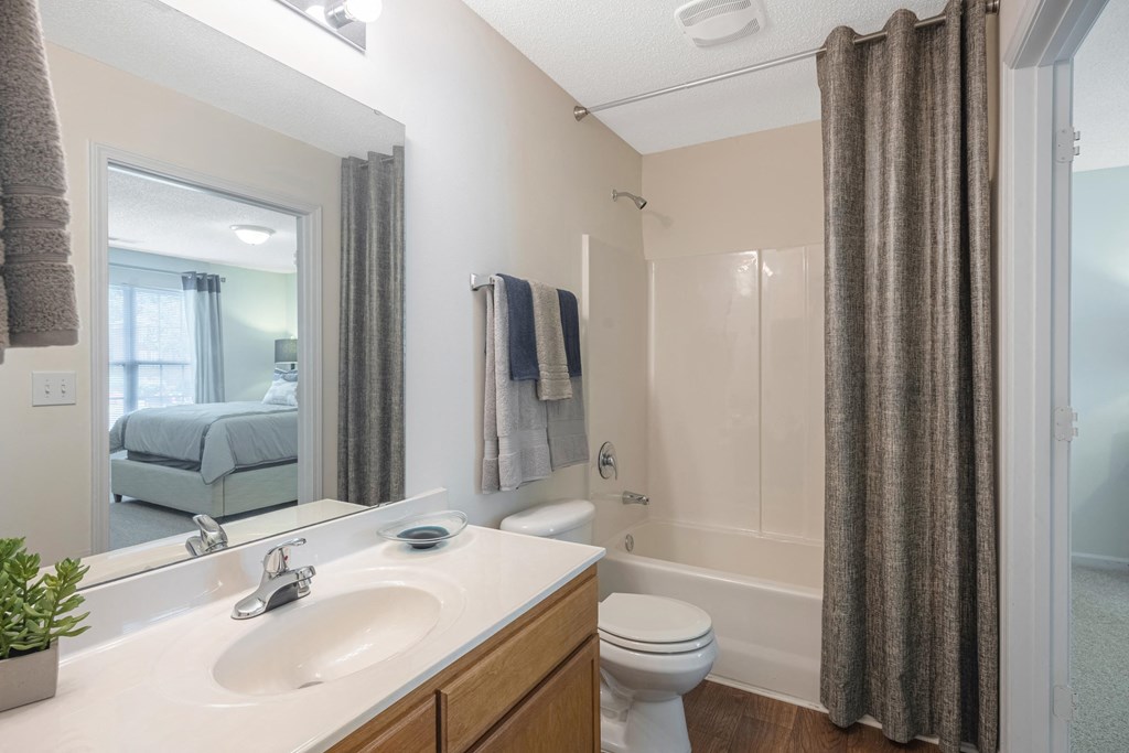 a view of a room with many windows and a tree in it