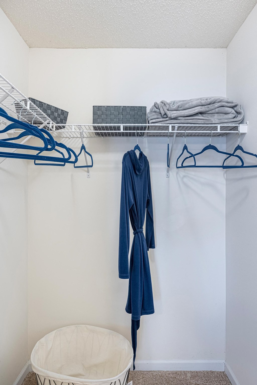 Closet within bedroom