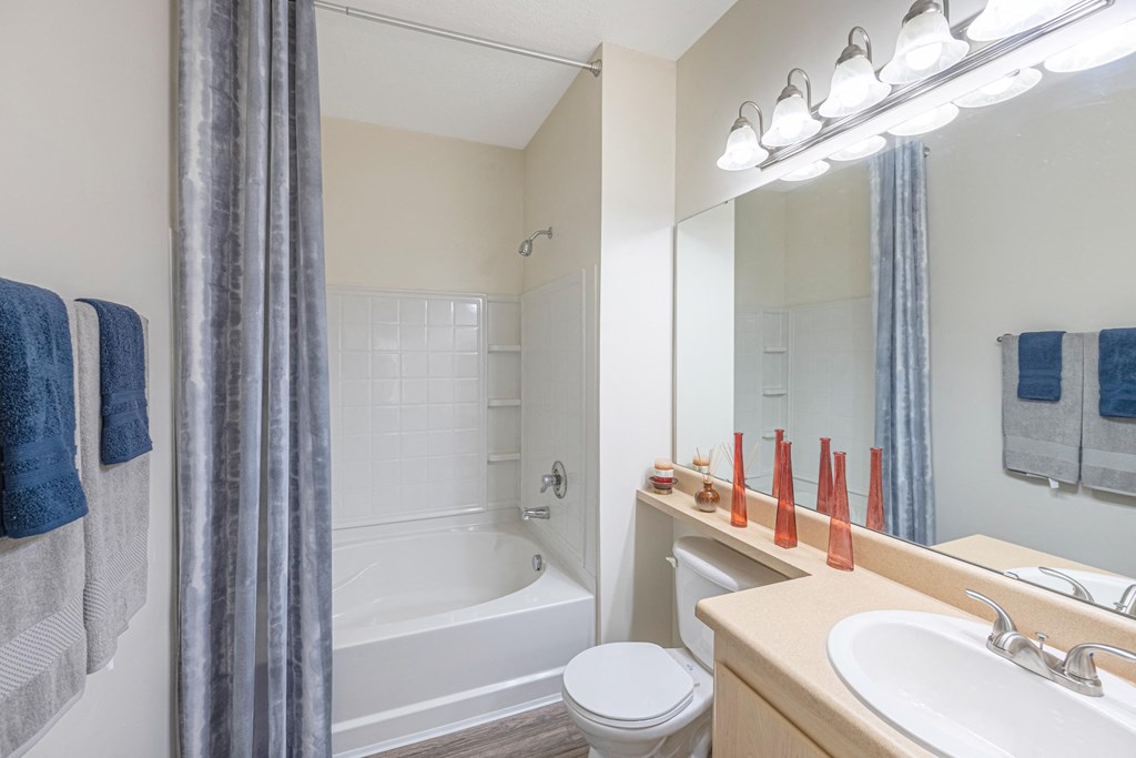 a bathroom with a tub and a sink and a mirror