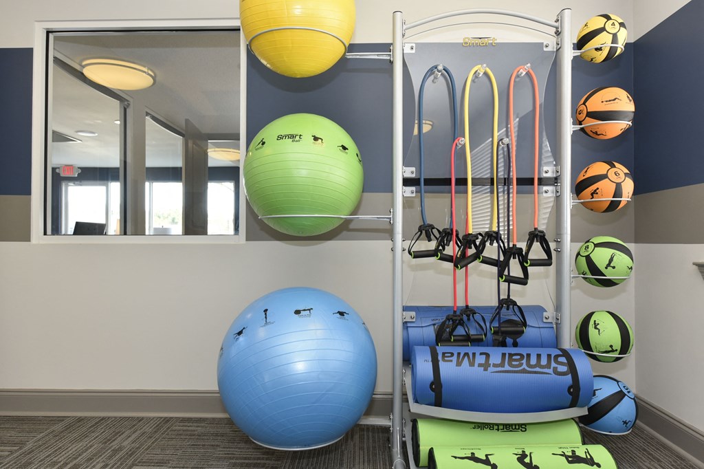 a rack of exercise equipment with a blue exercise ball and green exercise ball next to a rack