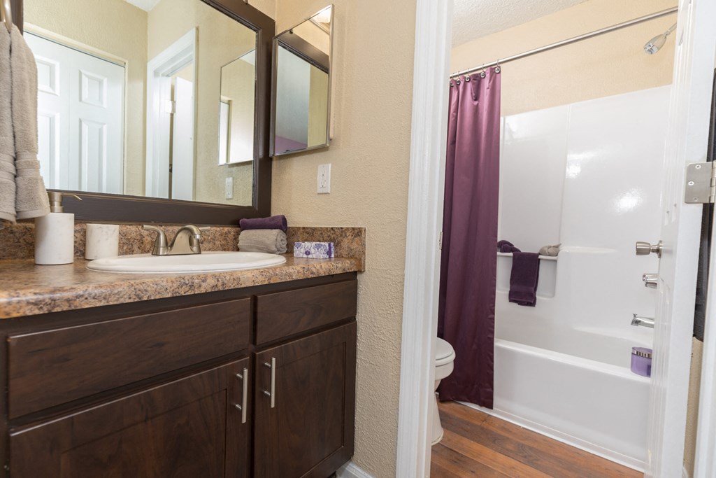 a bathroom with a sink and a shower and a mirror