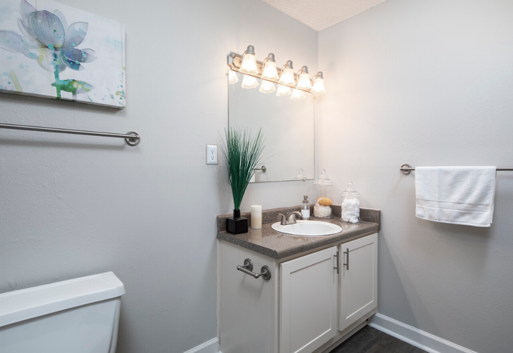 a bathroom with a sink and a mirror and a toilet