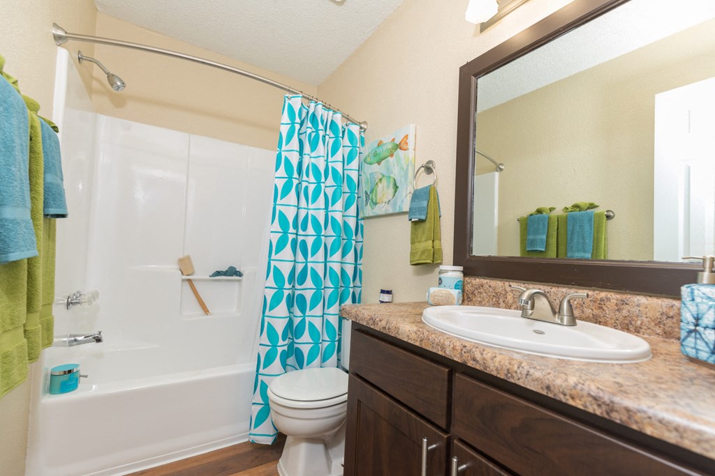 a bathroom with a shower toilet and sink and a mirror