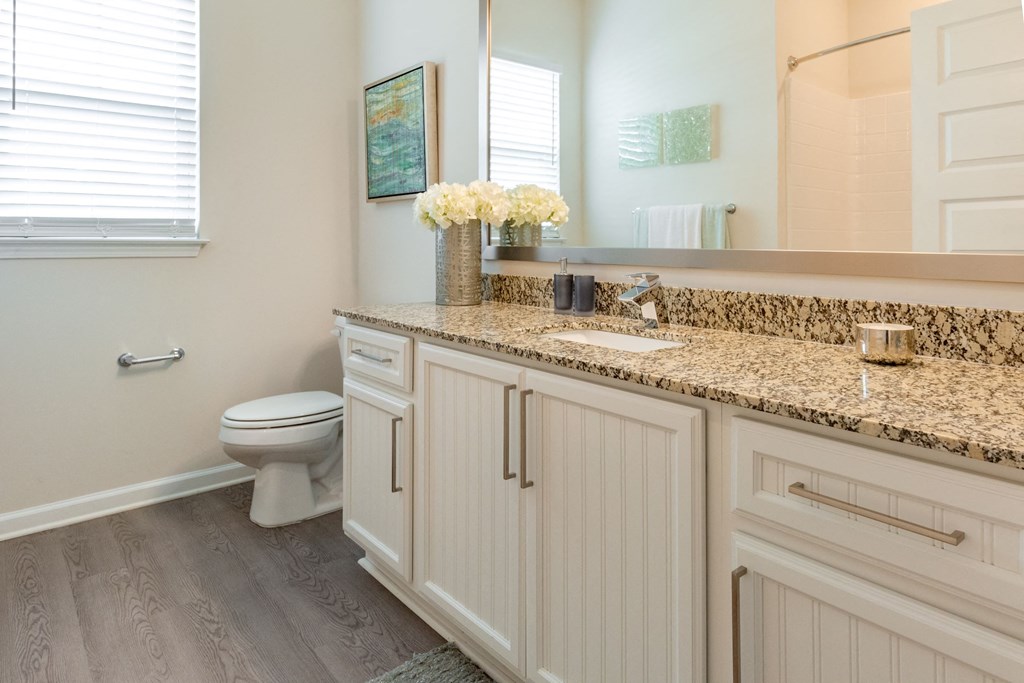a bathroom with white cabinets and a sink and a toilet