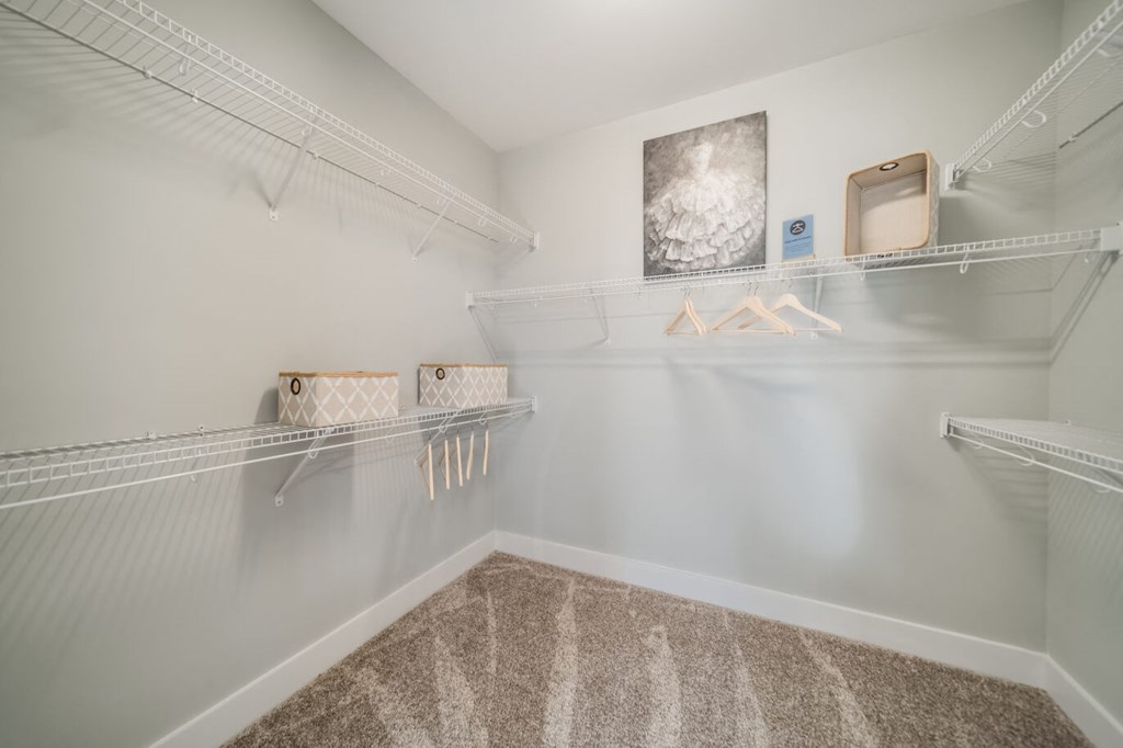 a spacious closet with shelves and hooks and carpeted flooring