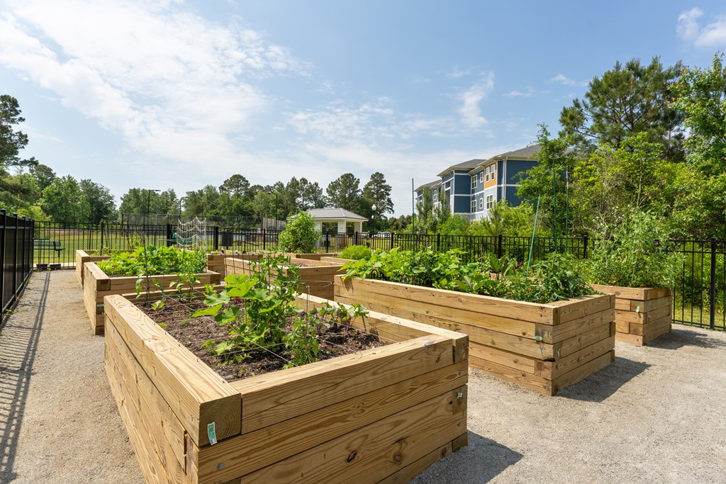 A garden with raised beds and vegetables in front of a building.