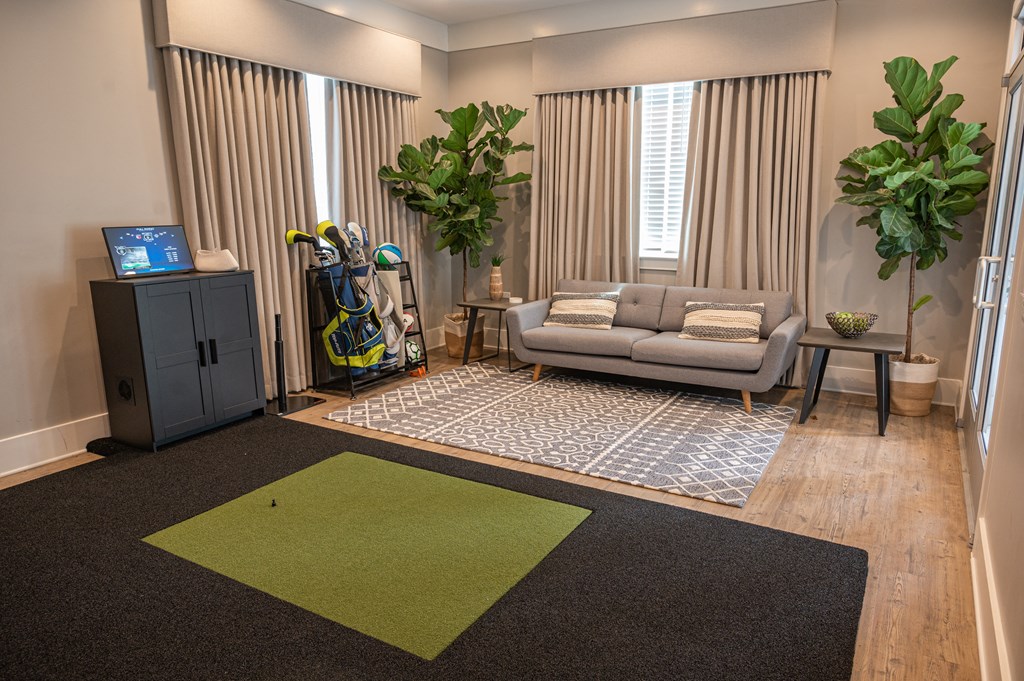 A room with a grey sofa, a green rug, and a wooden floor.