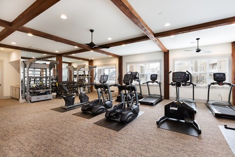 A gym with treadmills, elliptical machines, and other exercise equipment.