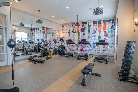 a gym with exercise equipment and a colorful wall of fitness equipment