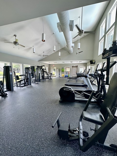 A gym with a variety of equipment including treadmills, weights, and a fan at River Ridge Apartments in Asheville, NC