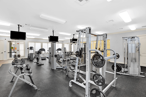 A gym with a variety of equipment including a squat rack and a bench press.